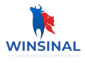 Winsinal Logo